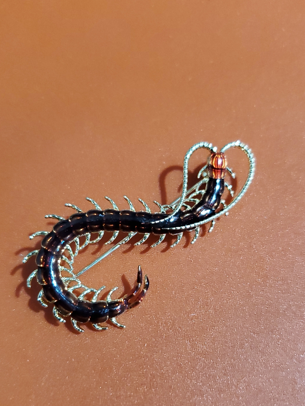 Centipede Brooch Pin